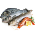 Ikan