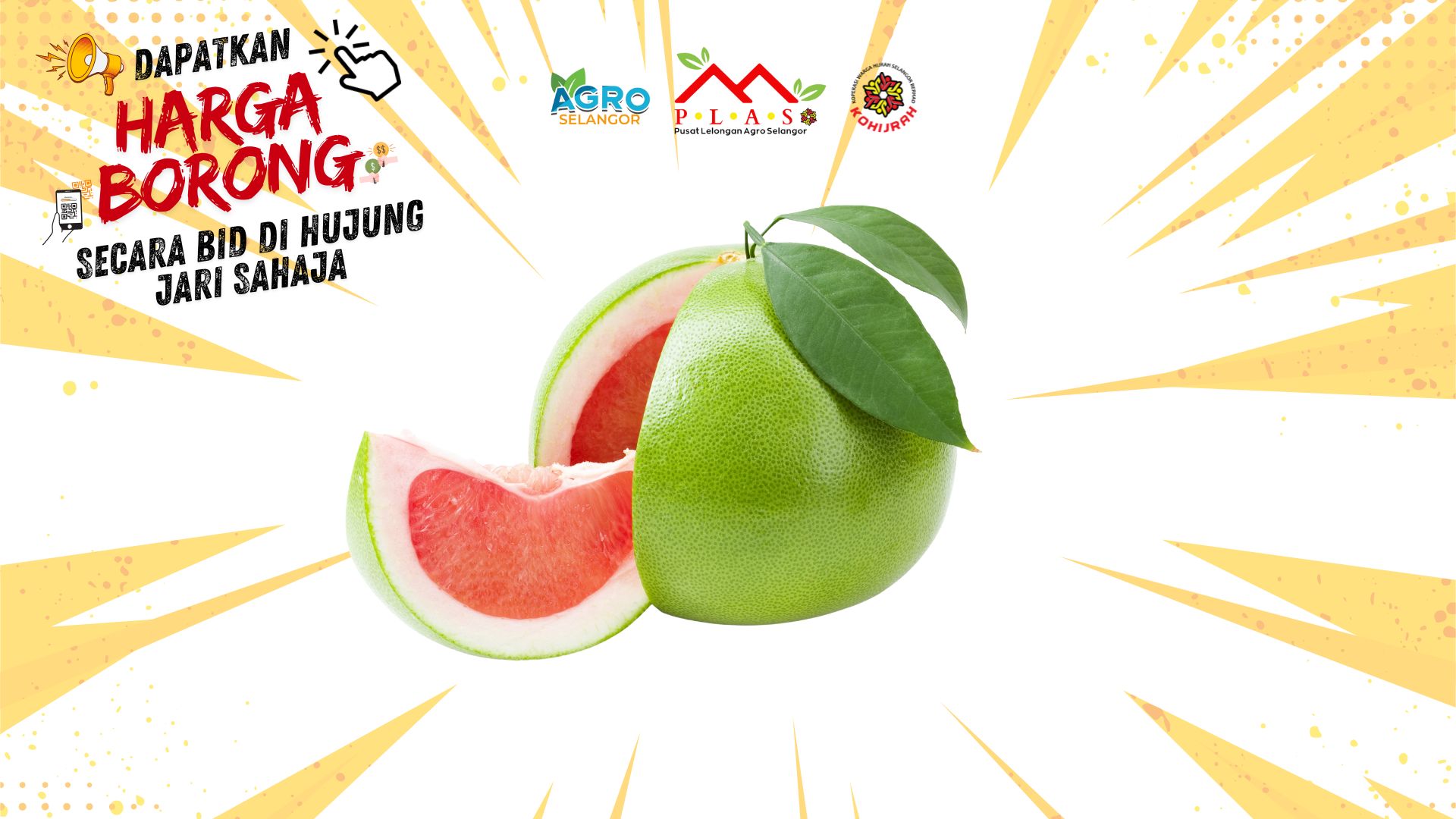 LIMAU BARLI (POMELO) - Auction