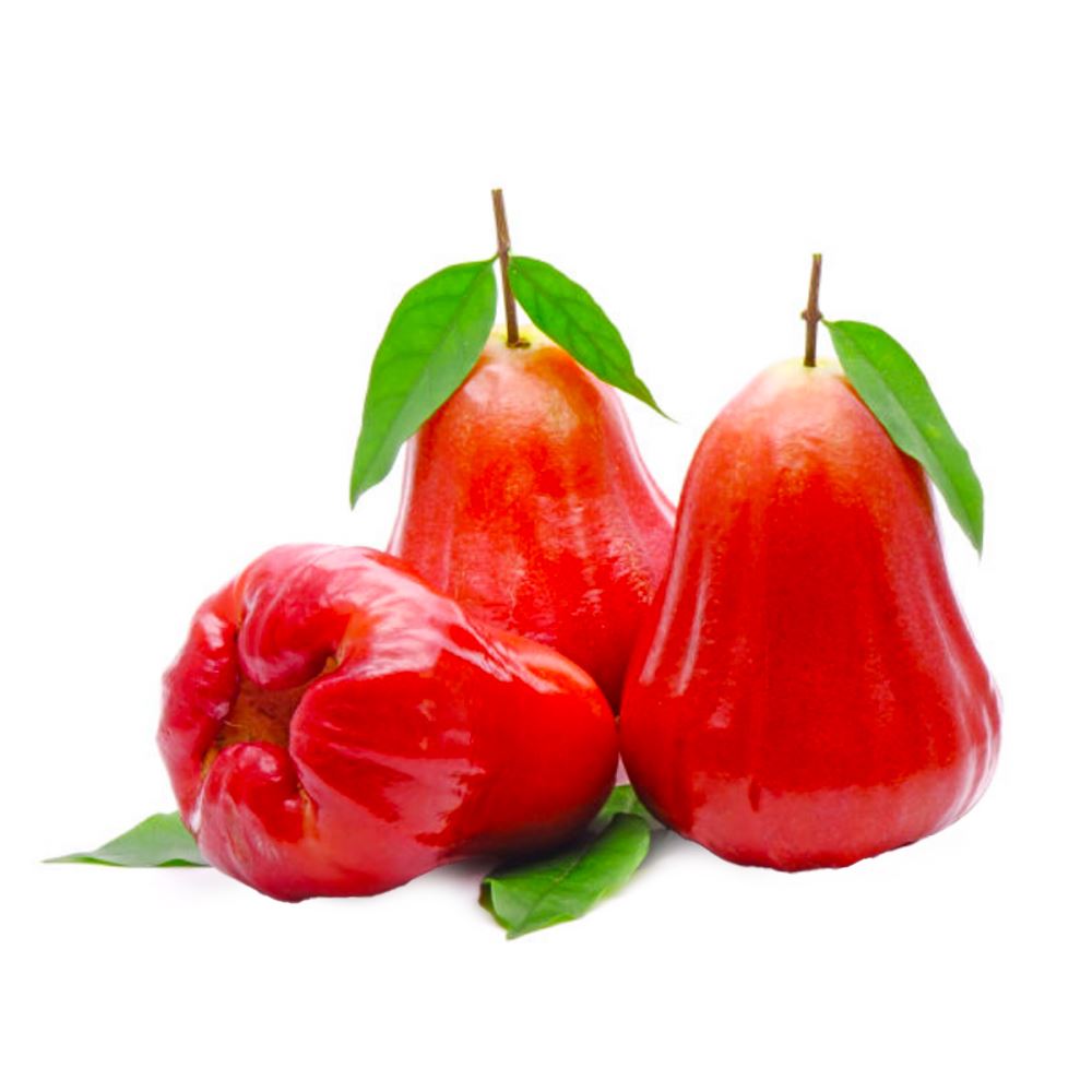 JAMBU AIR 1KG