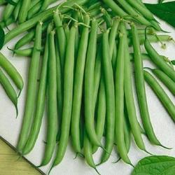 KACANG BUNCIS 1KG
