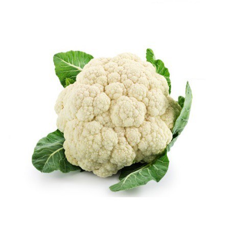 BUNGA KOBIS 1KG